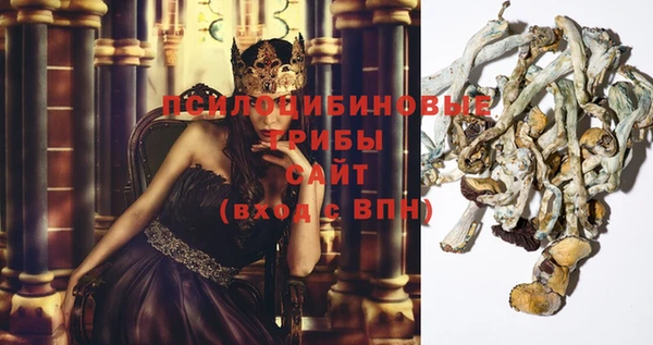 мдма Новодвинск
