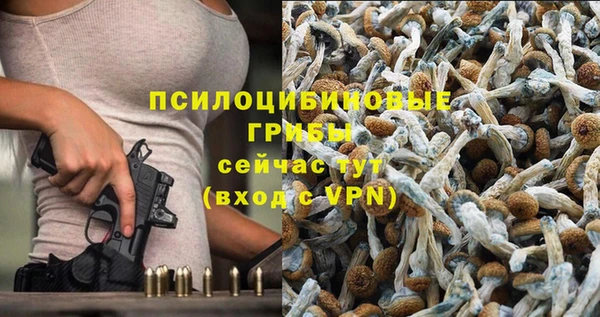 мдпв Нефтекумск