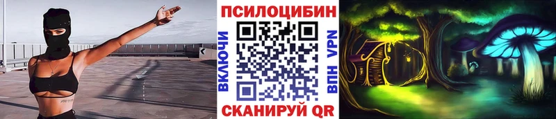 Псилоцибиновые грибы Psilocybine cubensis  Светлоград 