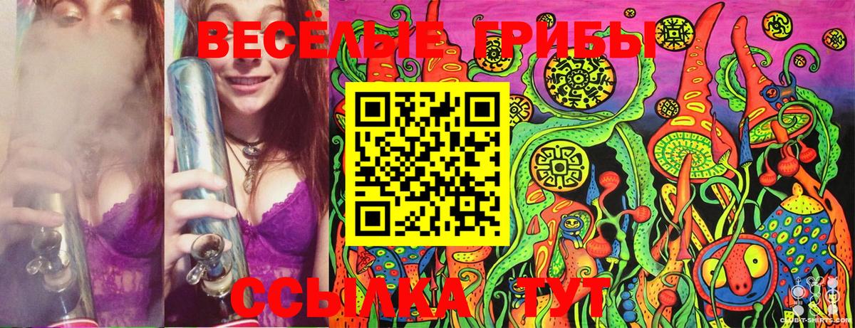 Галлюциногенные грибы Psilocybe Светлоград
