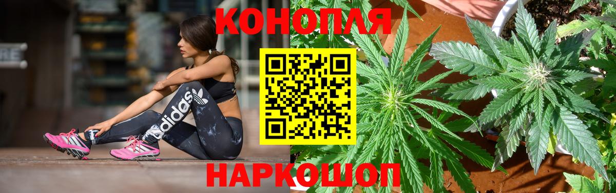 Каннабис план Светлоград