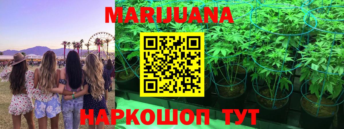 Бошки марихуана MAZAR  Светлоград  Марихуана план  Конопля MAZAR 